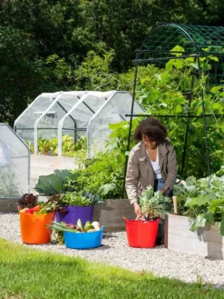 3-Season Plant Protection Tent, 3' X 6' -Indoor Oasis Supplies 35 592 0181 1