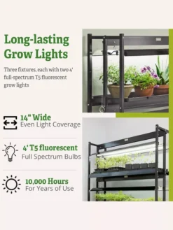 3-Tier Sunlite® Garden 12 3-Tier Sunlite® Garden -Indoor Oasis Supplies 39 357 66