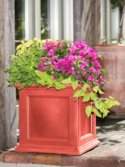 Fairfield Self-Watering Square Planter, 20” X 20” -Indoor Oasis Supplies 39 618 08477 tif