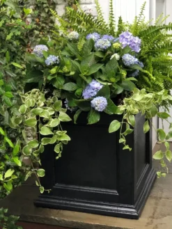 Fairfield Self-Watering Square Planter, 20” X 20” -Indoor Oasis Supplies 39 618 205V tif