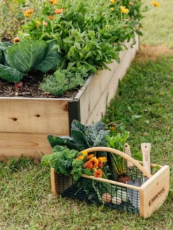 Garden Hods -Indoor Oasis Supplies 39 761 572 tif