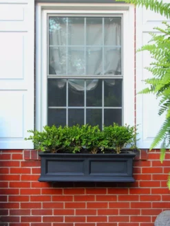 Fairfield Self-Watering Window Box, 3’ 8 Fairfield Self-Watering Window Box, 3’ -Indoor Oasis Supplies 39344 100V tif