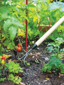Gardener's Lifetime Long-Handled Double Tool -Indoor Oasis Supplies 3 4 crop 8592107 2460 tif