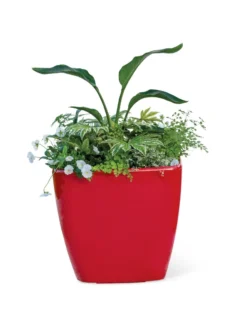 Viva Square Self-Watering Rolling Planter, 20" Diameter, Set Of 2 -Indoor Oasis Supplies 3 4 crop 8612930 0037 tif