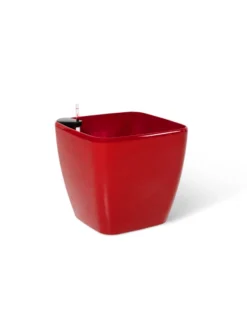 Viva Square Self-Watering Rolling Planter, 20" Diameter, Set Of 2 -Indoor Oasis Supplies 3 4 crop 8612930 0105