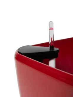 Viva Square Self-Watering Rolling Planter, 20" Diameter, Set Of 2 -Indoor Oasis Supplies 3 4 crop 8612930 0107