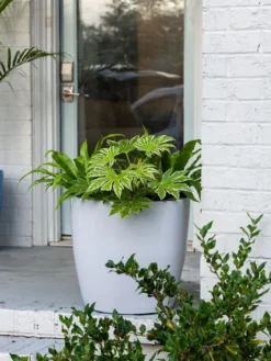 Viva Round Self-Watering Rolling Planter, 20" Diameter, Set Of 2 -Indoor Oasis Supplies 3 4 crop 8612933 0025 tif