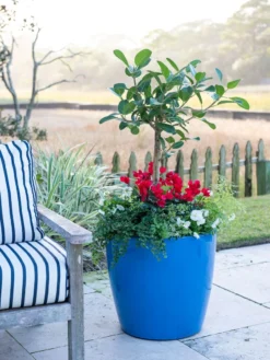 Viva Round Self-Watering Rolling Planter, 20" Diameter, Set Of 2 -Indoor Oasis Supplies 3 4 crop 8612933 5312 tif