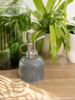 Indoor Plant Mister -Indoor Oasis Supplies 3 4 crop 8612962 0049