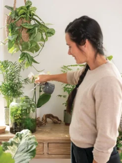 Indoor Plant Mister -Indoor Oasis Supplies 3 4 crop 8612962 3792