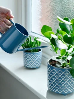 Pinpoint Indoor Watering Can 12 Pinpoint Indoor Watering Can -Indoor Oasis Supplies 3 4 crop 8612963 03V tif