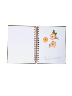 Herbarium Journal -Indoor Oasis Supplies 3 4 crop 8613227 2987