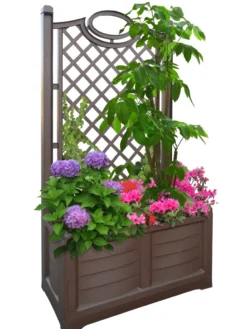 Separate Flower Box With Trellis -Indoor Oasis Supplies 3 4 crop 8613626 04V