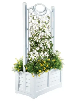 Separate Flower Box With Trellis -Indoor Oasis Supplies 3 4 crop 8613626 14V