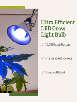 Miracle LED® Grow Light Bulb, Blue -Indoor Oasis Supplies 3 4 crop Miracle Bulb Blue 1