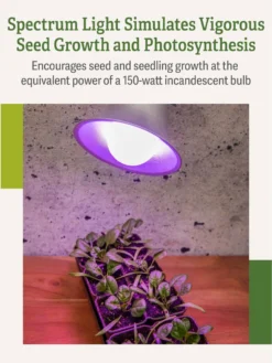 Miracle LED® Grow Light Bulb, Red And Blue -Indoor Oasis Supplies 3 4 crop Miracle Bulb RB 3
