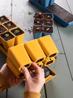 Gardener's Best® XL Seed Starting Kit -Indoor Oasis Supplies 40 135 6188