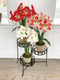 Nesting Triple Pot Stand