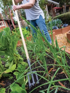 Best Seller -Indoor Oasis Supplies 8586973 2385 tif