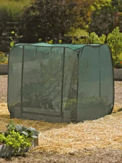 Pest Control Pop-Ups 11 Pest Control Pop-Ups -Indoor Oasis Supplies 8587859 026 tif