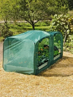 Pest Control Pop-Ups 10 Pest Control Pop-Ups -Indoor Oasis Supplies 8587860 096 tif