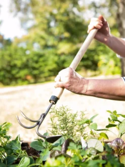 Gardener's Lifetime Raised Bed Cultivator 8 Gardener's Lifetime Raised Bed Cultivator -Indoor Oasis Supplies 8587960 3527 tif