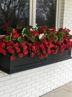 Fairfield Self-Watering Window Box, 5’ -Indoor Oasis Supplies 8588938 100V tif