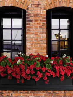 Fairfield Self-Watering Window Box, 5’ -Indoor Oasis Supplies 8588938 102V tif