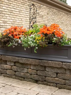 Fairfield Self-Watering Window Box, 5’ -Indoor Oasis Supplies 8588938 105V tif