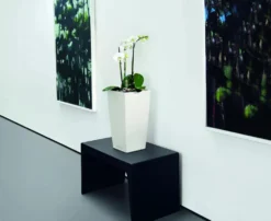 Lechuza® Cubico Color Tall Self-Watering Planters -Indoor Oasis Supplies 8589485 03V tif