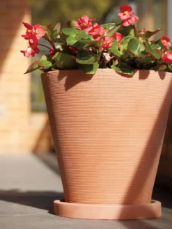 Universal Round Planter Saucers -Indoor Oasis Supplies 8589526 001V tif