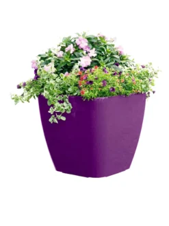 Viva Square Self-Watering Rolling Planter, 17.5" Diameter -Indoor Oasis Supplies 8589778PR 6126 tif