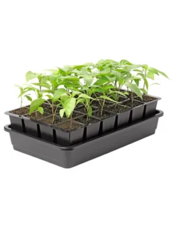 Growease Seed Starter Kit -Indoor Oasis Supplies 8589987 1153 tif