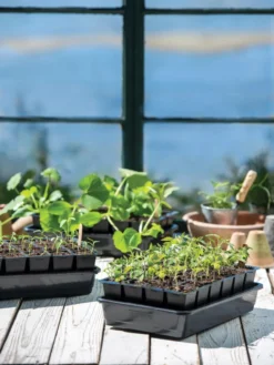 Growease Seed Starter Kit -Indoor Oasis Supplies 8589987 7871 tif