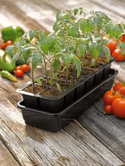 Growease Seed Starter Kit -Indoor Oasis Supplies 8589988 1056 tif