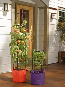 Gardener's Best® Tomato Grow Bag Set -Indoor Oasis Supplies 8590013 170 tif
