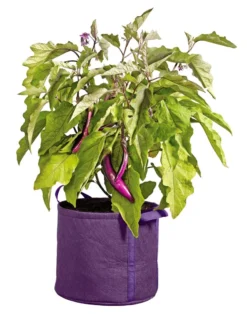 Gardener's Best® Universal Grow Bag -Indoor Oasis Supplies 8590024PR 214 tif
