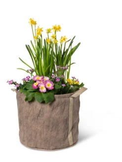 Gardener's Best® Universal Grow Bag -Indoor Oasis Supplies 8590024 7307 tif