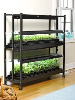 Indoor Oasis Supplies 41 2-Tier SunLite® Garden