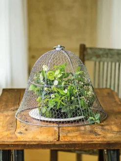 Chicken Wire Cloche -Indoor Oasis Supplies 8590210 1 tif