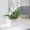 Lechuza® Delta Self-Watering Windowsill Planters