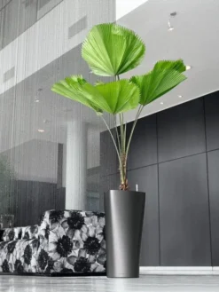 Lechuza® Delta Premium Self-Watering Planters -Indoor Oasis Supplies 8590299 02V tif