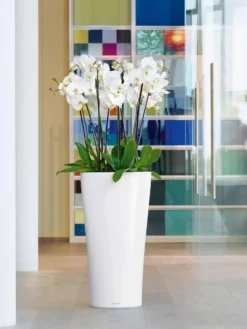 Lechuza® Delta Premium Self-Watering Planters