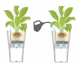 Lechuza® Delta Premium Self-Watering Planters -Indoor Oasis Supplies 8590299 07V tif