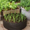 Garlic Grow Bag Kit