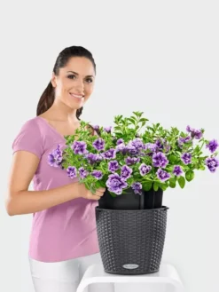 Lechuza® Nido Cottage Wicker Hanging Planter -Indoor Oasis Supplies 8591154GT 006V tif