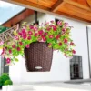 Lechuza® Nido Cottage Wicker Hanging Planter
