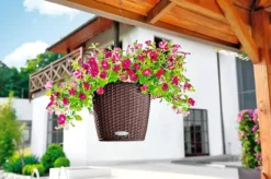 Indoor Oasis Supplies 18 Lechuza® Nido Cottage Wicker Hanging Planter