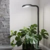 Agrobrite Floor Plant Lamp