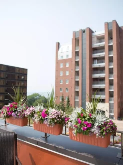 Adjustable Self-Watering Railing Planter, 24" -Indoor Oasis Supplies 8592173TC 2383 tif